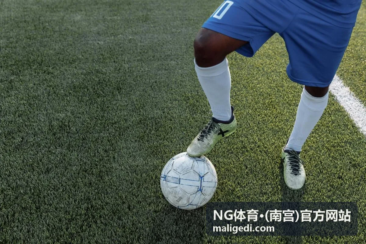 NG体育南宫观赛指南内容封面